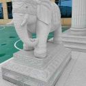 韶关 白麻花岗岩动物异形石雕-大象