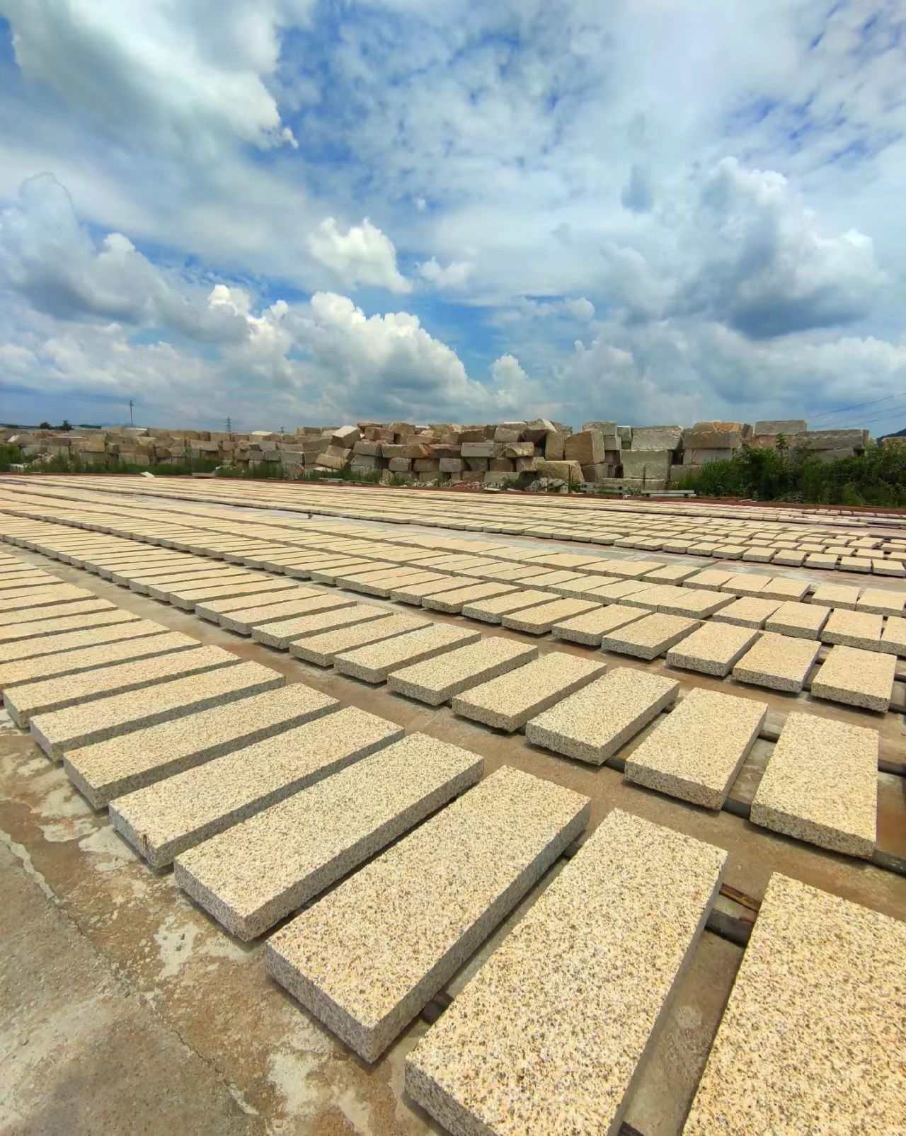 韶关 黄金麻花岗岩荔枝面地铺石防护中