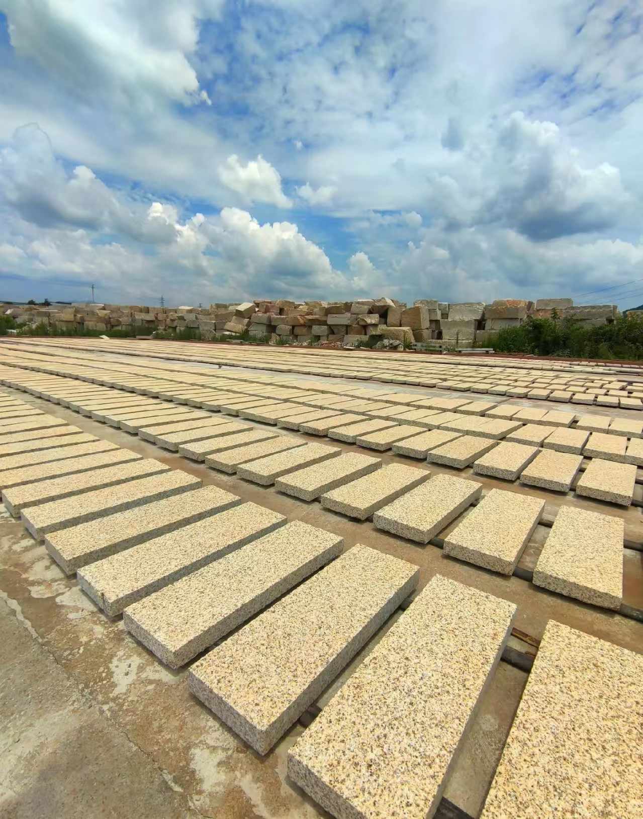 韶关 黄金麻荔枝面花岗岩石材地铺石防护中