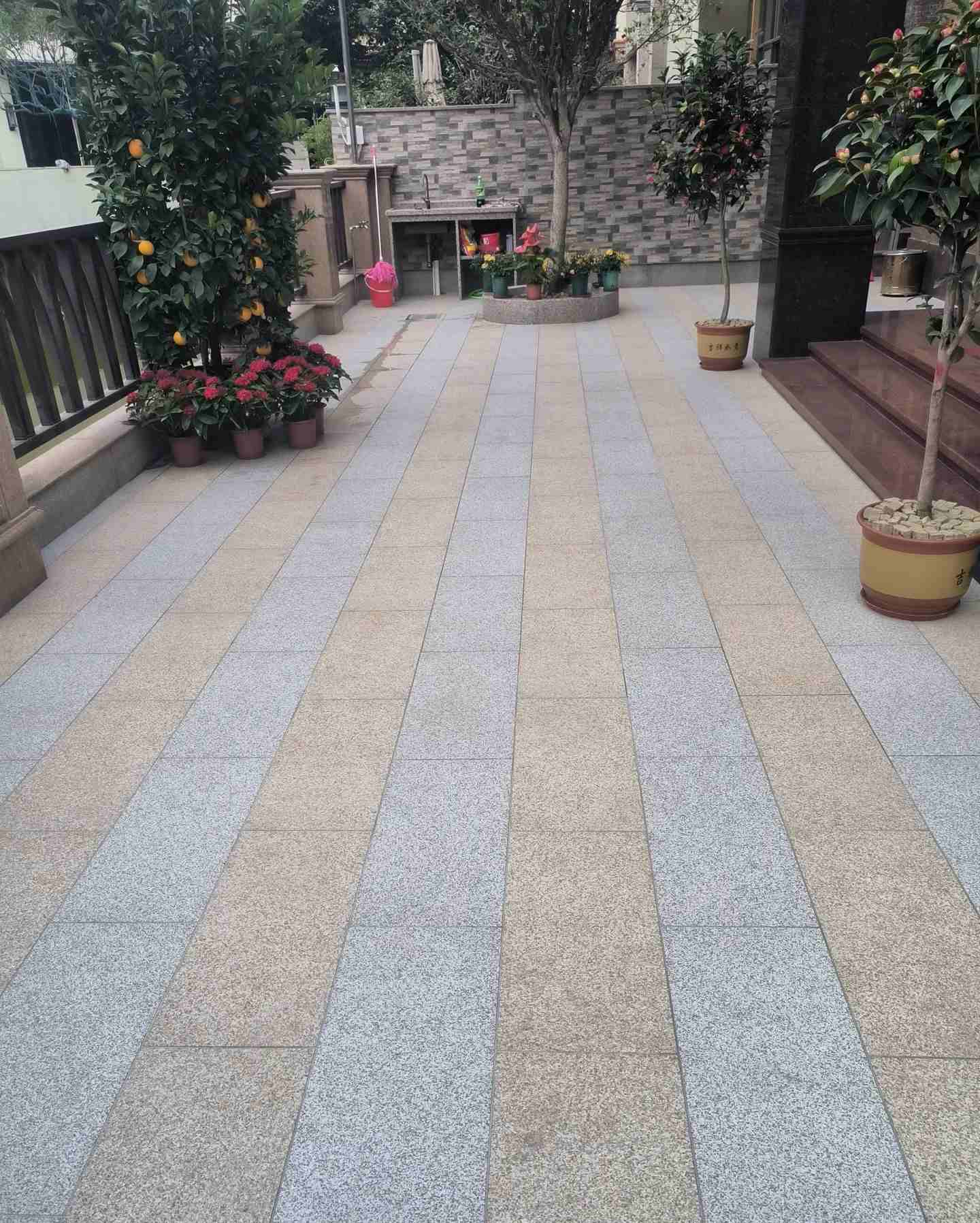 韶关 黄金麻白麻荔枝面庭院铺装展示